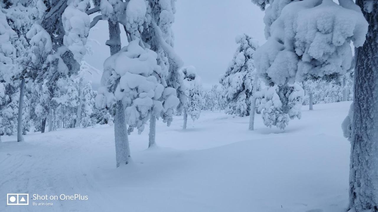 Apt 37 Rovaniemi Exteriér fotografie